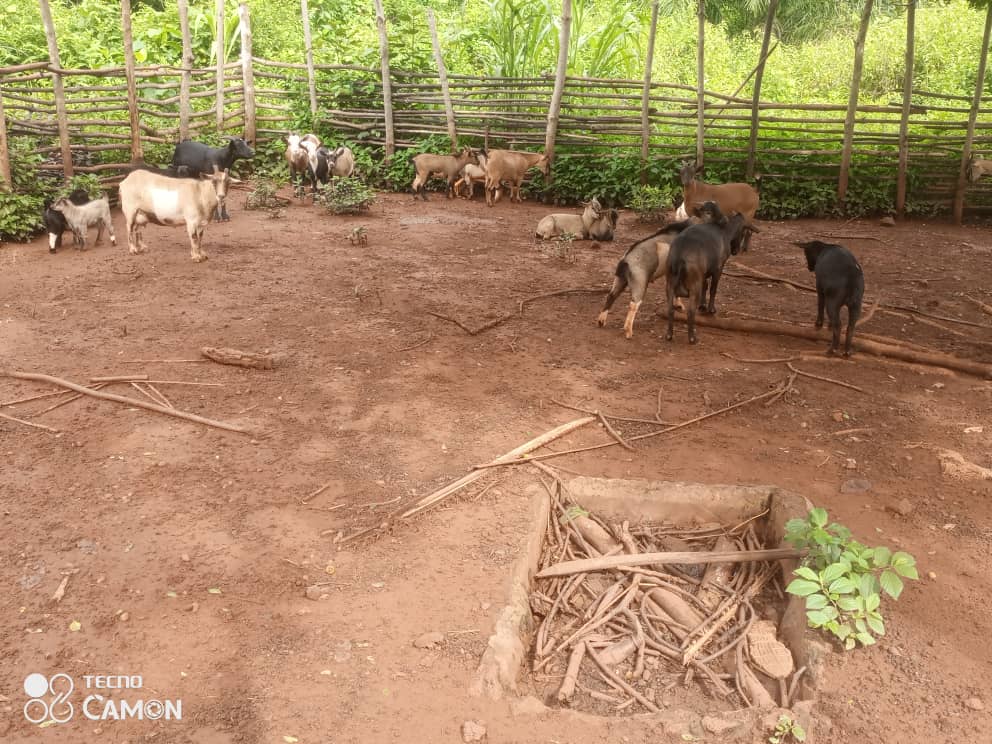 Centrafrique : L’OFUPCSC s'engage dans l'autonomisation économique des femmes de Mbaïki IMG 20250610 WA0077