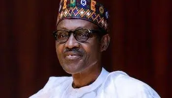 1000064384 Lwsoptimized