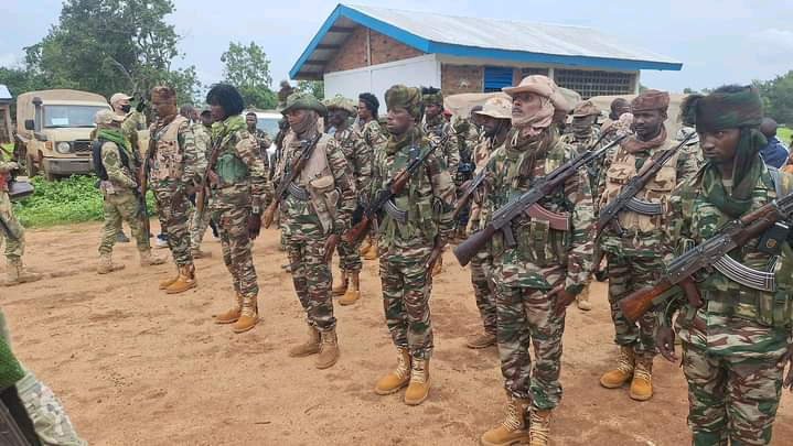 Le désarmement, une voie vers la paix durable en Centrafrique 1000072272