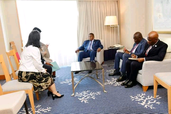 COLDFALL JAPAN CORPORATION ENVISAGE D’INVESTIR DANS LE RECYCLAGE DES PLASTIQUES EN RÉPUBLIQUE CENTRAFRICAINE 1000171380